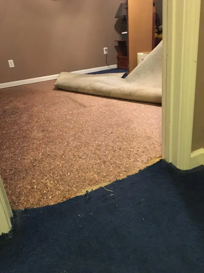 Carpet pad removal revealing water damage during Drying & Dehumidification in Wilmington Island
